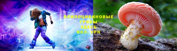соль курить ск Инсар