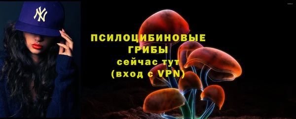 героин Инта