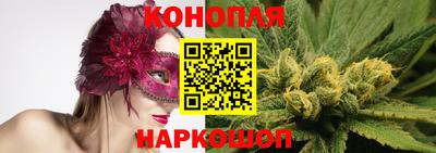 PSILOCYBIN Нальчик