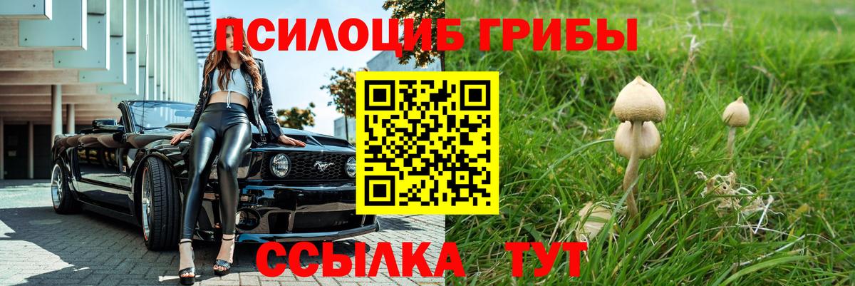 даркнет сайт  Галлюциногенные грибы прущие грибы  Вход с VPN  Элиста 